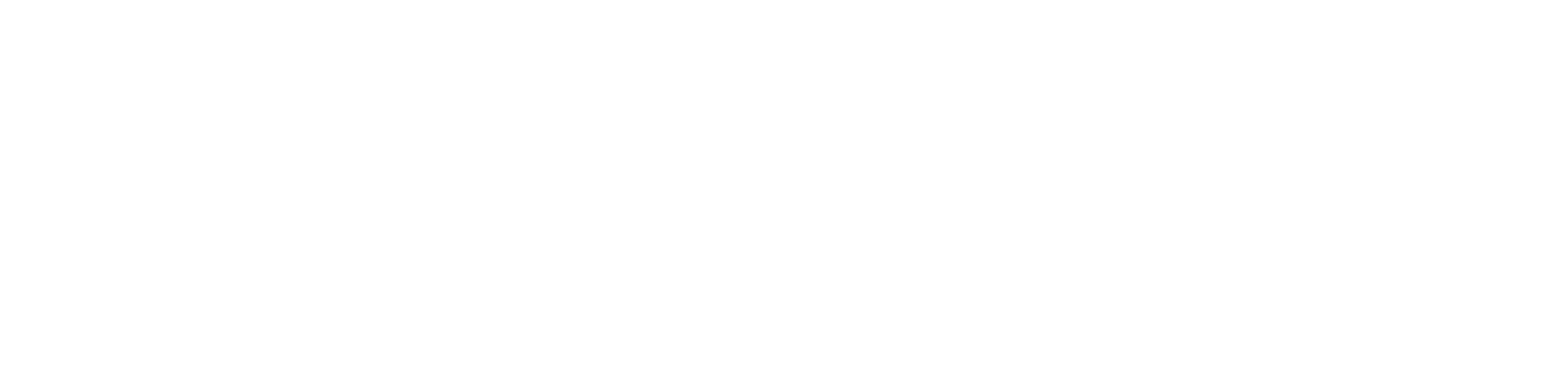 primary logo w
